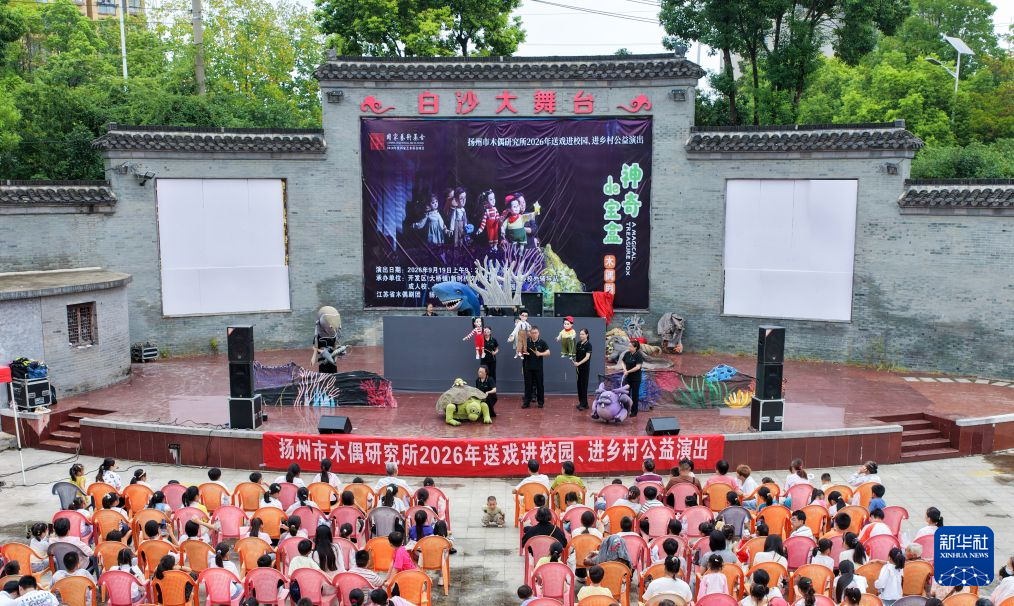 赛事热点解读：数据背后的故事 - 天天盈球