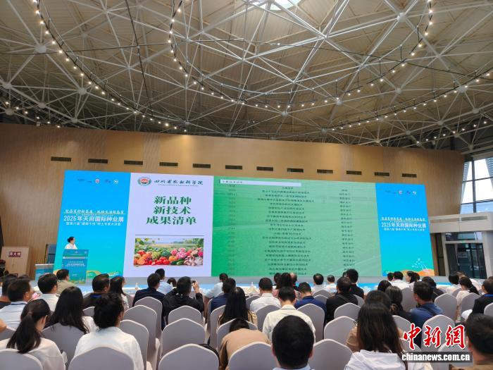 赛事热点解读：数据背后的故事 - 天天盈球